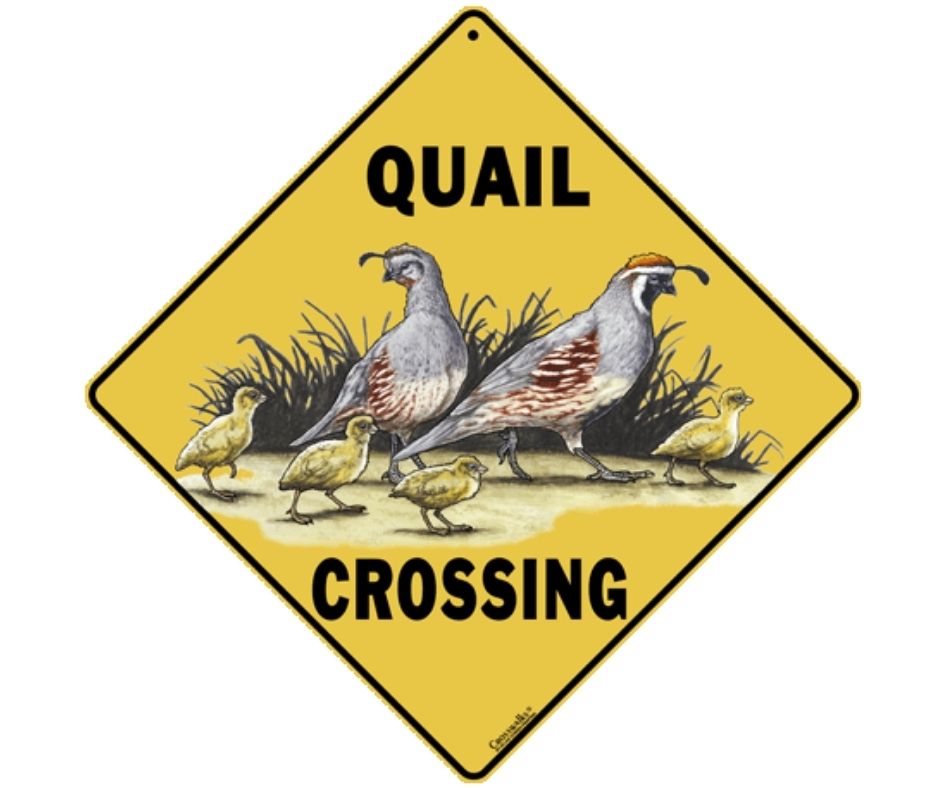Quail Crossing Sign by CrossWalks-Southern Agriculture