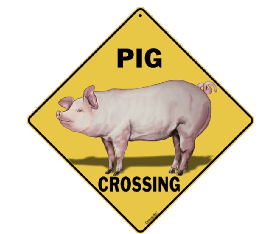 Pig Crossing Sign by CrossWalks-Southern Agriculture