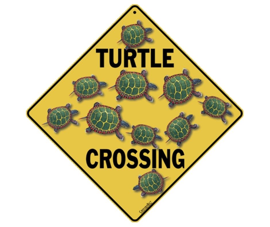 Turtle Crossing Sign by CrossWalks-Southern Agriculture