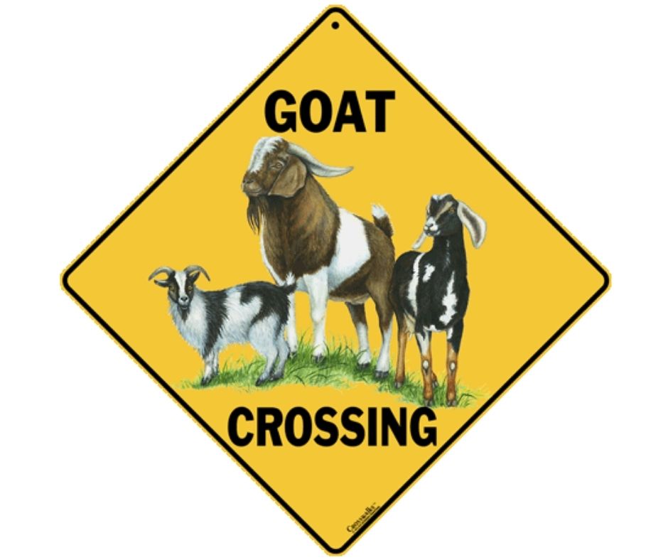 Goat Crossing Sign by CrossWalks-Southern Agriculture