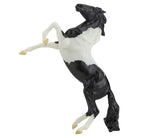 Breyer Black Pinto Rearing Mustang-Southern Agriculture
