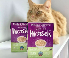 Stella & Chewy's - Cage-Free Chicken Morsels. Cat Food.-Southern Agriculture