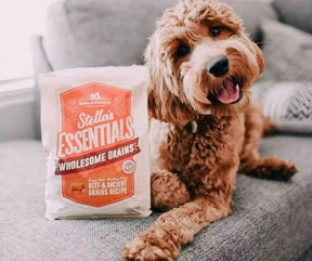 Stella & Chewy's - Stella Essentials Grass-Fed Beef & Ancient Grains Dry Dog Food-Southern Agriculture