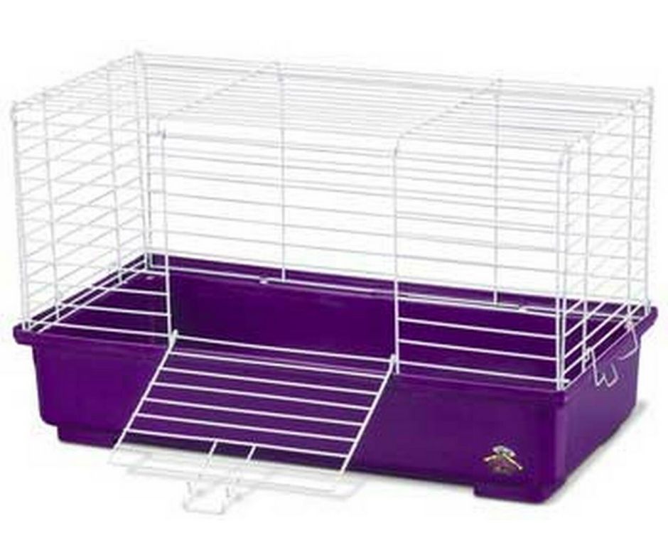 Kaytee My First Home Rabbit Starter Kit