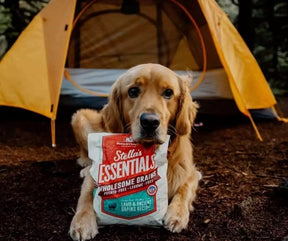 Stella & Chewy's - Stella's Essentials Grass-Fed Lamb & Ancient Grains Recipe Dry Dog Food-Southern Agriculture