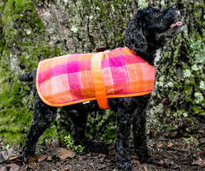 Allure by Huggle Hounds. Jackets for Dogs - Pink and Orange Plaid Print.-Southern Agriculture