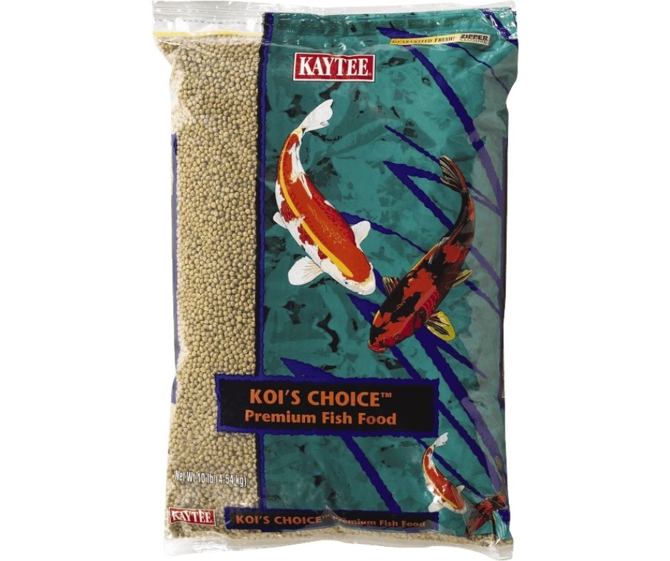 Kaytee Koi's Choice Premium Fish Food-Southern Agriculture