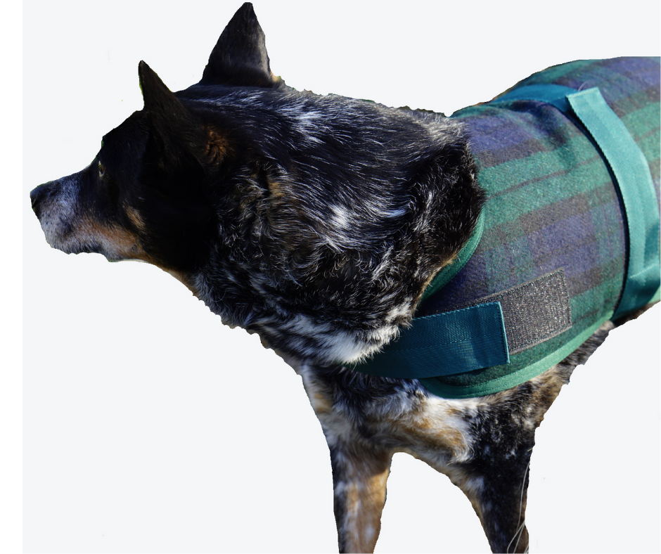 Allure by Huggle Hounds. Jacket for Dogs - Blackwatch Plaid Print.-Southern Agriculture