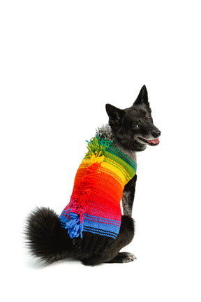 Dog Sweater Rainbow Mohawk