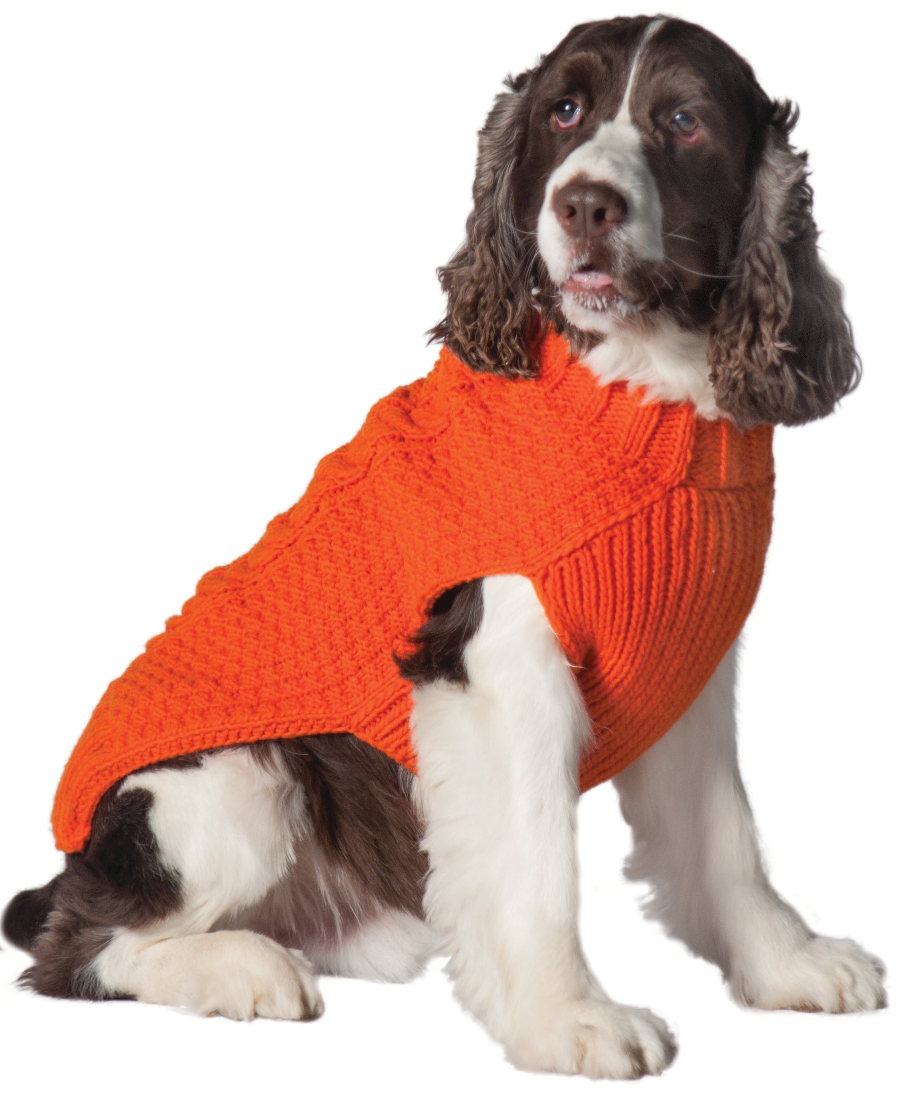 Chilly Dog Orange Cable Knit Sweater