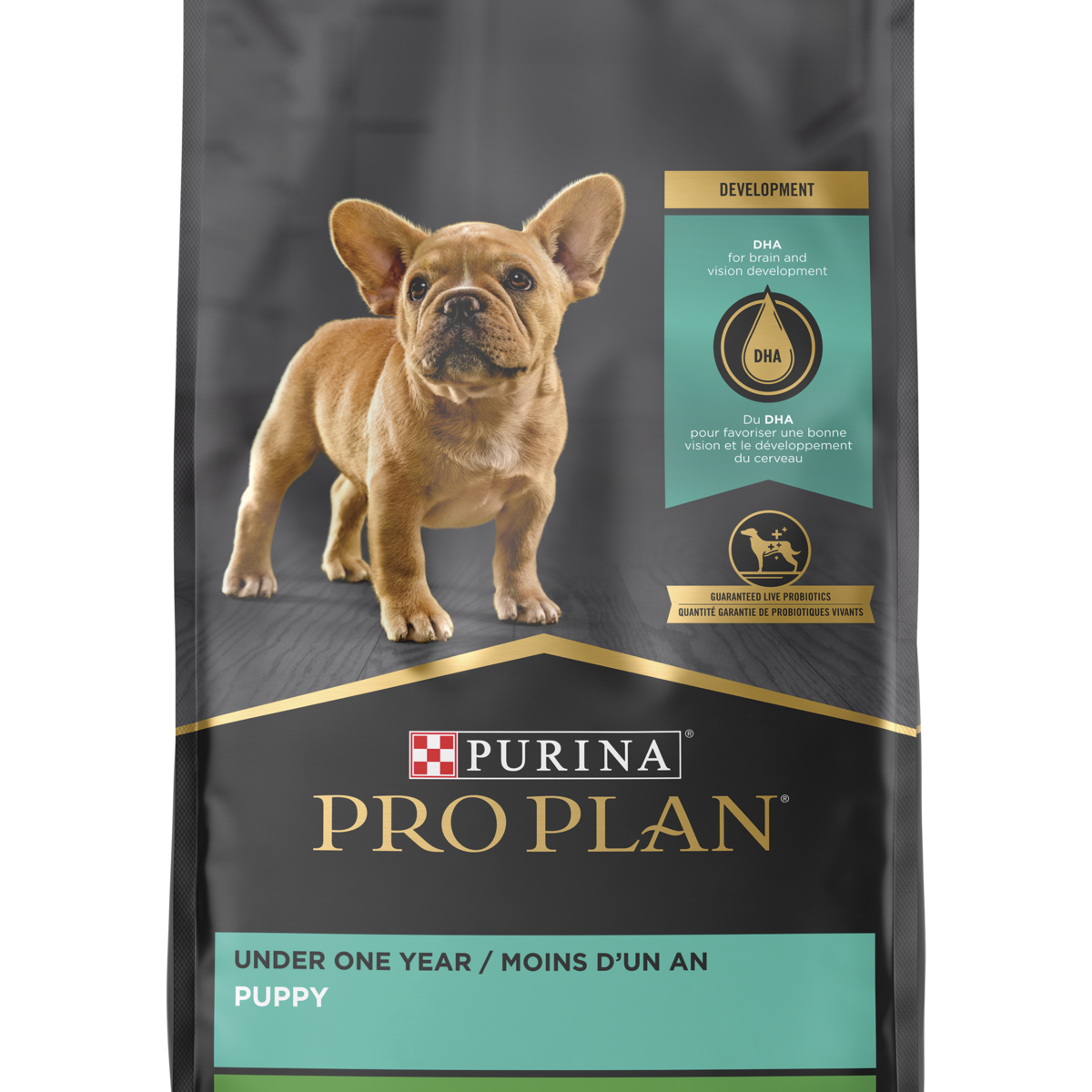 Pro plan online french bulldog