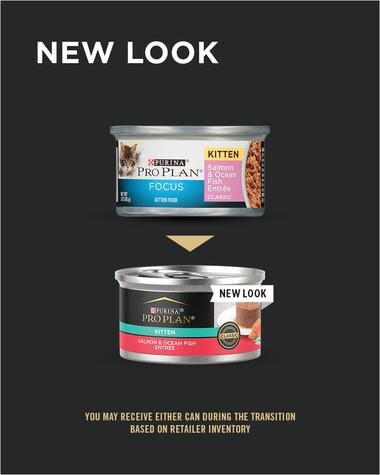 Purina Pro Plan FOCUS - All Breeds, Kitten Salmon & Ocean Fish Entrée Classic Canned Cat Food-Southern Agriculture