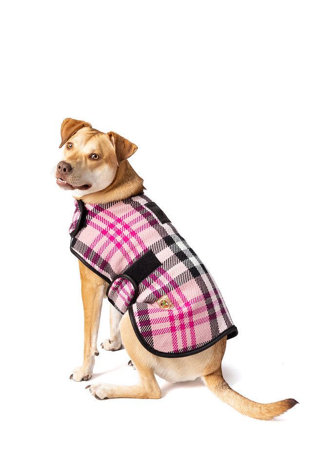 Chilly Dog - Dog Coat Pink Plaid Blanket