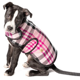 Dog Coat Pink Plaid Blanket