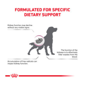Renal Support Early Consult Dry Dog
