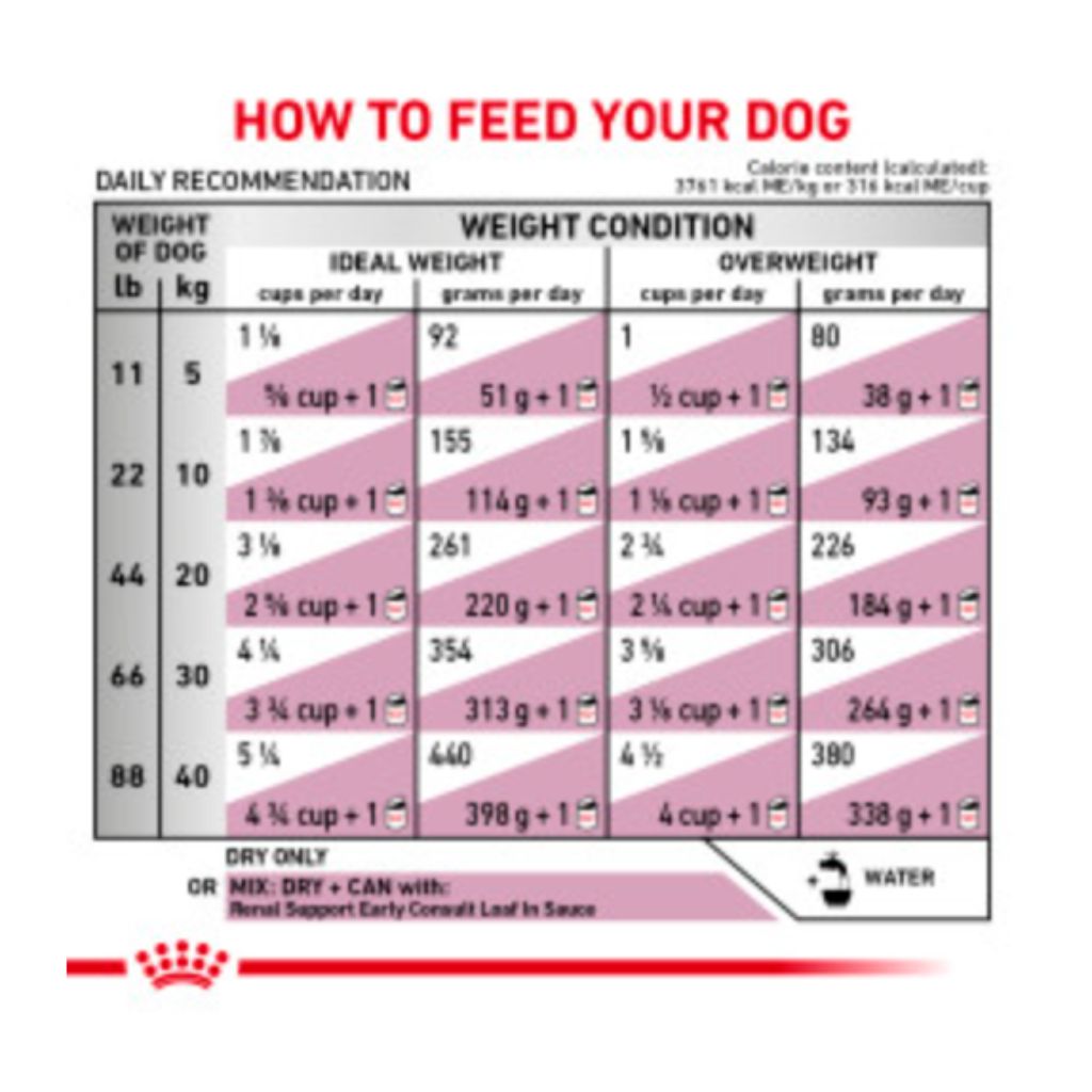 Renal Support Early Consult Dry Dog