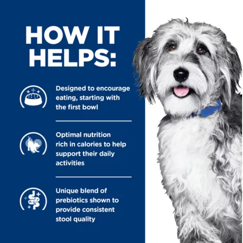 Prescription wet dog food hot sale