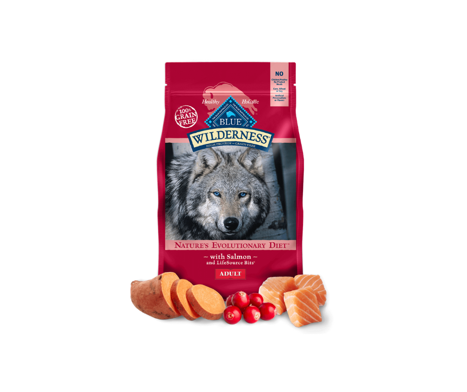 Blue Buffalo Wilderness - Adult Dog Salmon Recipe Dry Dog Food-Southern Agriculture