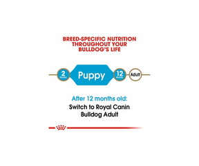 Royal Canin - Bulldog Puppy Dry Dog Food-Southern Agriculture