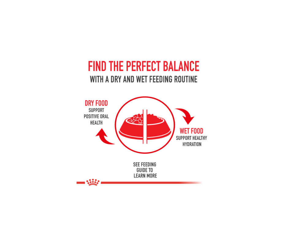 Wet food sales for german shepherds