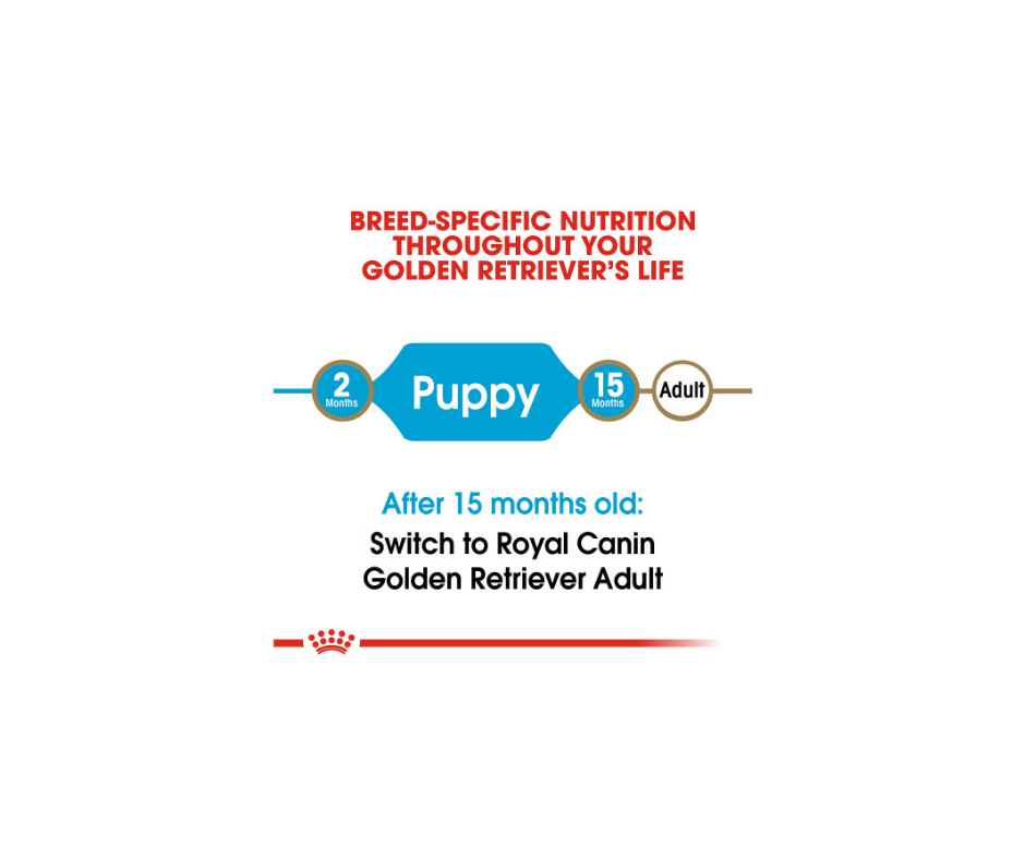 Royal Canin - Golden Retriever Puppy Dry Dog Food-Southern Agriculture