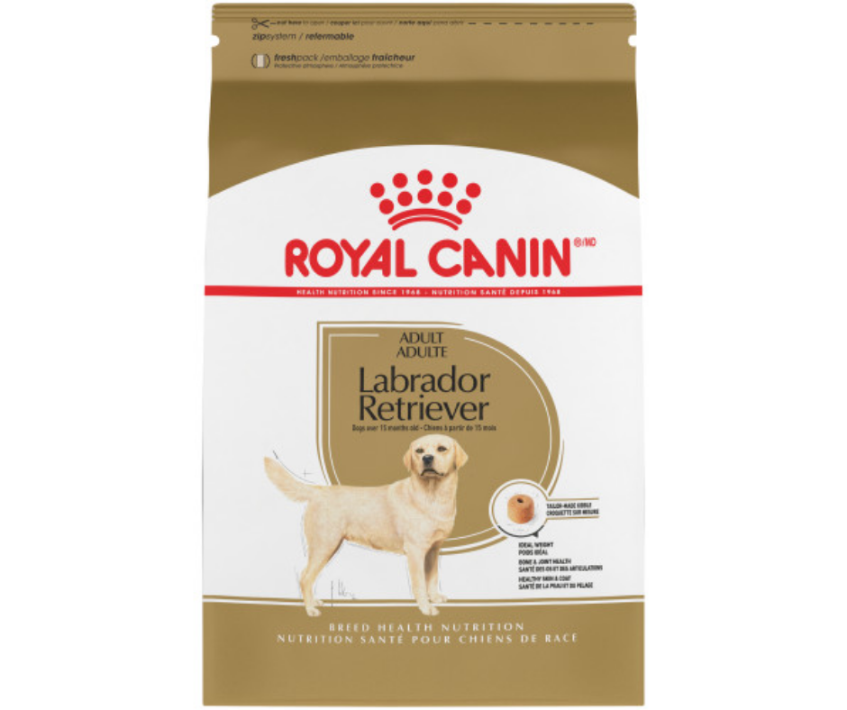 Royal Canin - Adult Labrador Retriever Dry Dog Food-Southern Agriculture