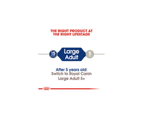Royal Canin - Large Breed Adult Dry Dog Food-Southern Agriculture