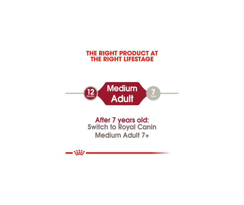 Royal Canin - Medium Adult Dog Dry Dog Food-Southern Agriculture