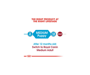 Royal Canin - Medium Breed, Puppy Dry Dog Food-Southern Agriculture