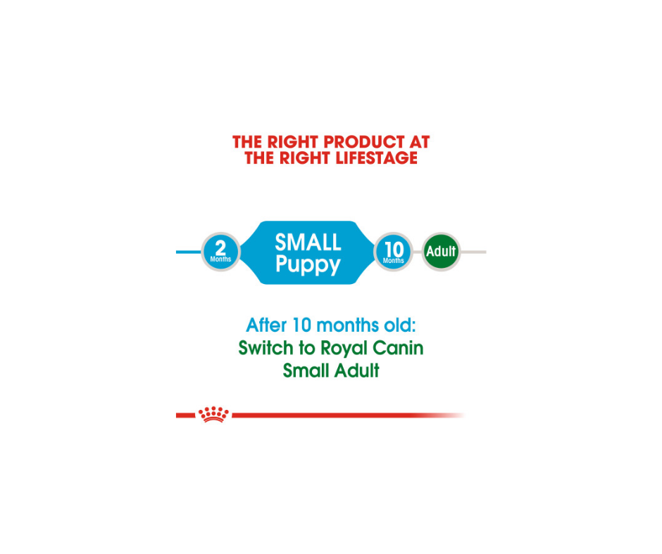 Royal Canin - Small Puppy Dry Dog Food-Southern Agriculture