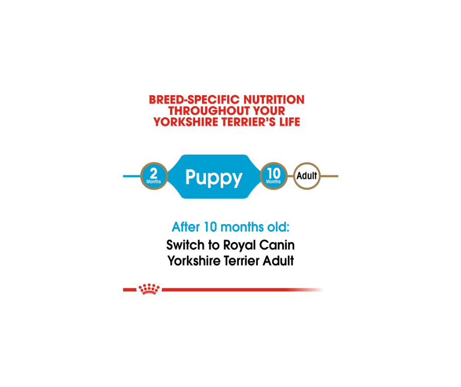 Royal Canin - Yorkshire Terrier Puppy Dry Dog Food-Southern Agriculture