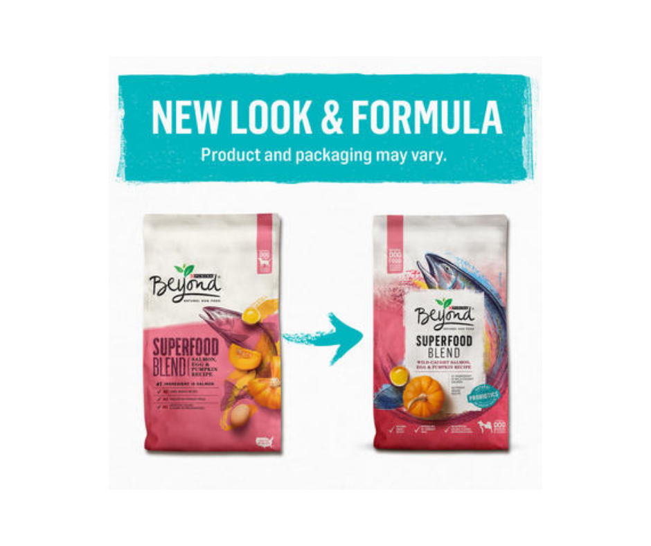 Purina beyond online superfood salmon