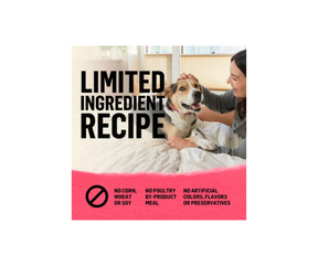 Purina Beyond - All Breeds, Adult Dog Superfood Blend Salmon, Egg & Pumpkin Recipe Dry Dog Food-Southern Agriculture