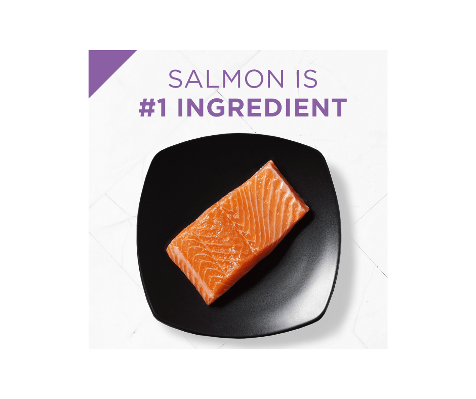 Purina Pro Plan Performance 30 20 Active Dogs All Life Stages Salmo