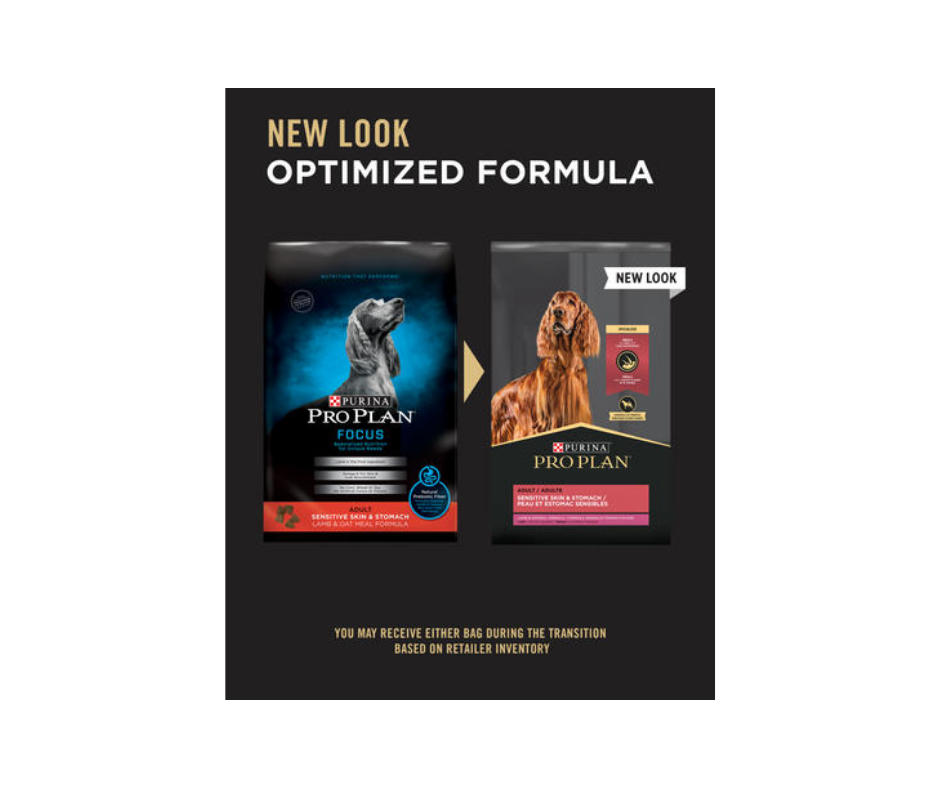 Pro plan focus sales lamb and oatmeal