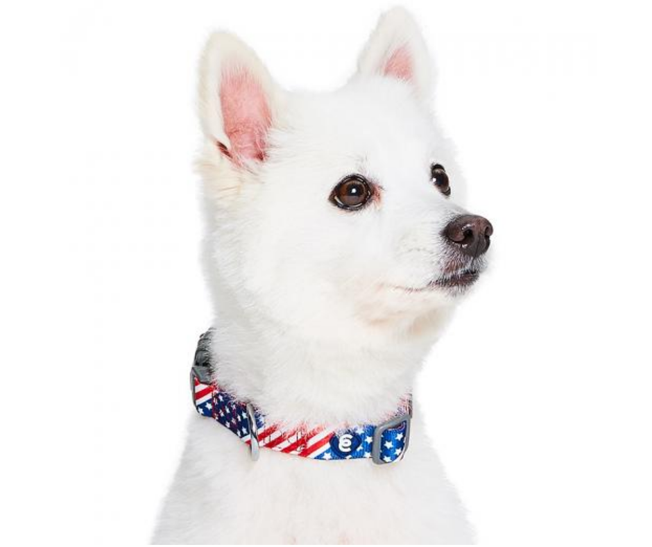 American Flag Dog Collar by Blueberry Pet-Southern Agriculture