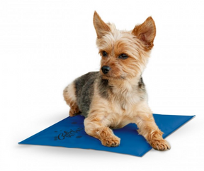 Coolin' Pet Pad-Southern Agriculture