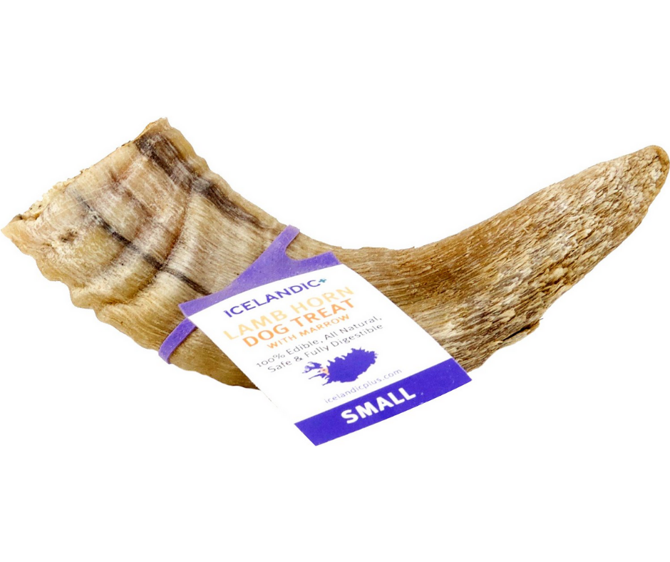 Icelandic+ - Lamb Horn with Marrow Chew. Dog Treat.-Southern Agriculture