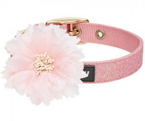 Most Coveted Holo Pink Glitter Dog Collar with Flower Medium-Southern Agriculture