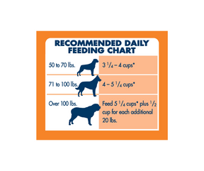 Blue wilderness feeding chart deals