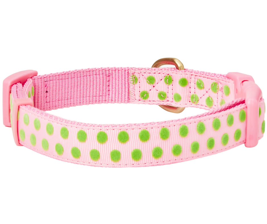 Pink With Green Polka Dot Flocking with Flower Dog Collar-Southern Agriculture
