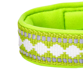 3M Reflective Padded Jacquard Dog Collar Macaw Green-Southern Agriculture