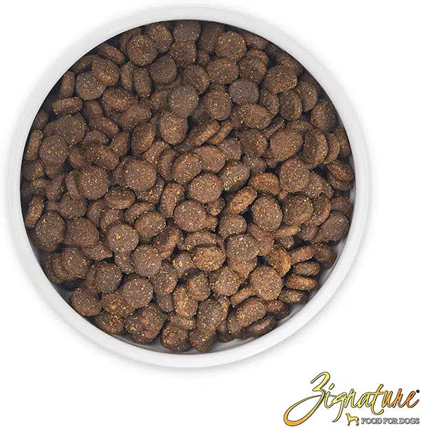 Grain free and outlet legume free dog food