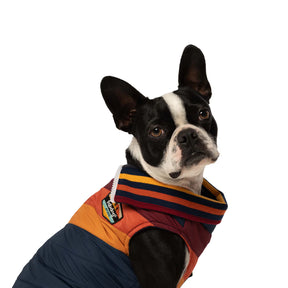 Fabdog Dog Coat Navy Chevron