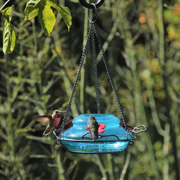 Hummingbird Feeder Mason Jar Top Fill