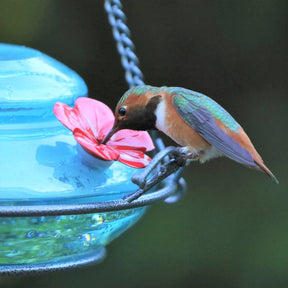 Hummingbird Feeder Mason Jar Top Fill