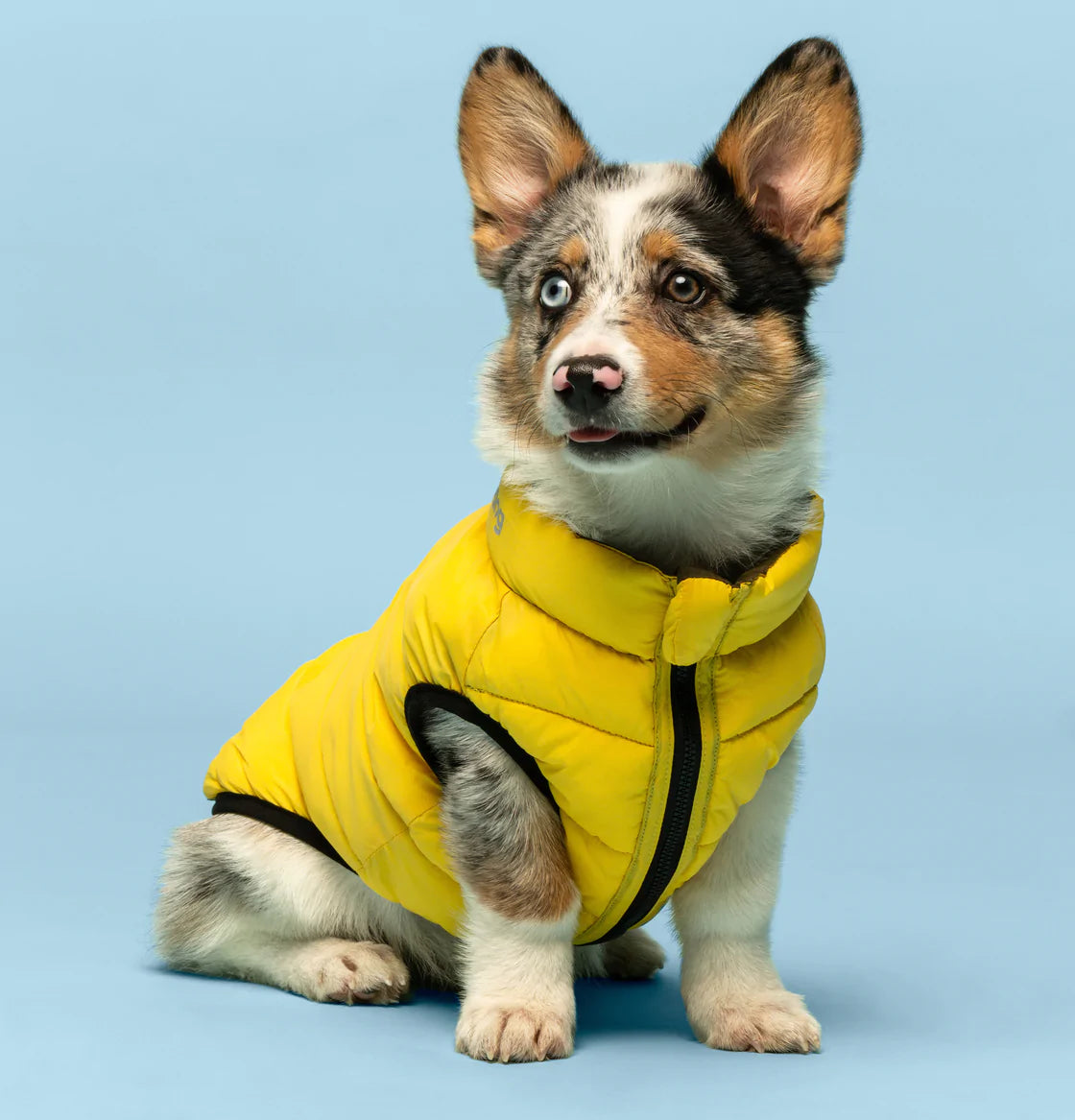 Fabdog Combo Pack N' Go Reversible Dog Puffer Yellow/Grey