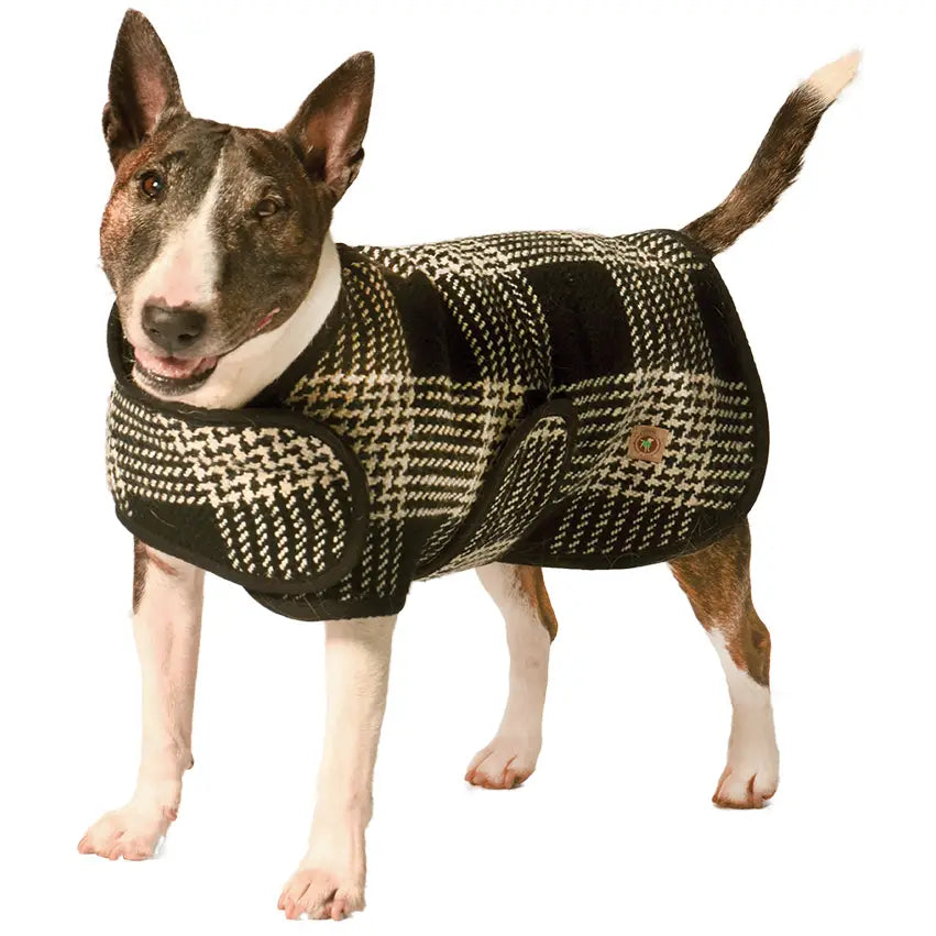 Chilly Dog - Dog Blanket Coat Black &White