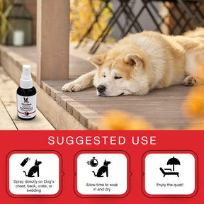 Essential Oil Dog Calming Spray