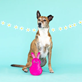 Petshop by Fringe Studio - Miss Cottontail Durable Dog Toy Plush